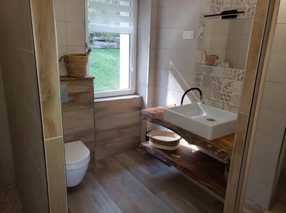 Le Bord De Sarre Meuble 3 Etoiles Apartment Саргемин Екстериор снимка